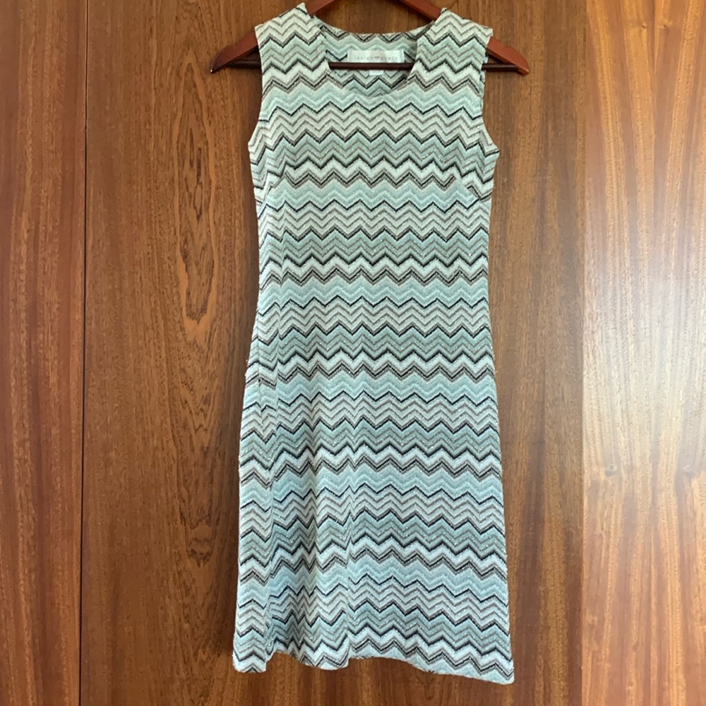 Lesley Evers Zigzag Scoop Neck Short Sleeve Dress